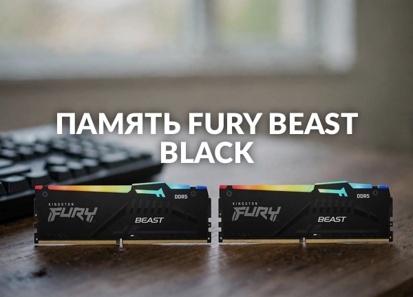 Память Fury Beast Black