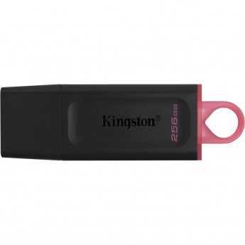 Флеш-накопитель KINGSTON 256GB USB3.2 Gen1 DataTraveler Exodia (Black + Pink)