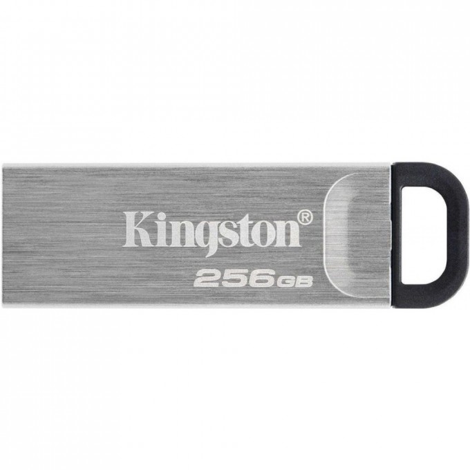 Флешка KINGSTON 256GB DTKN/256GB