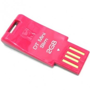 Флешка KINGSTON 2GB DataTraveler DTMSN-2GB