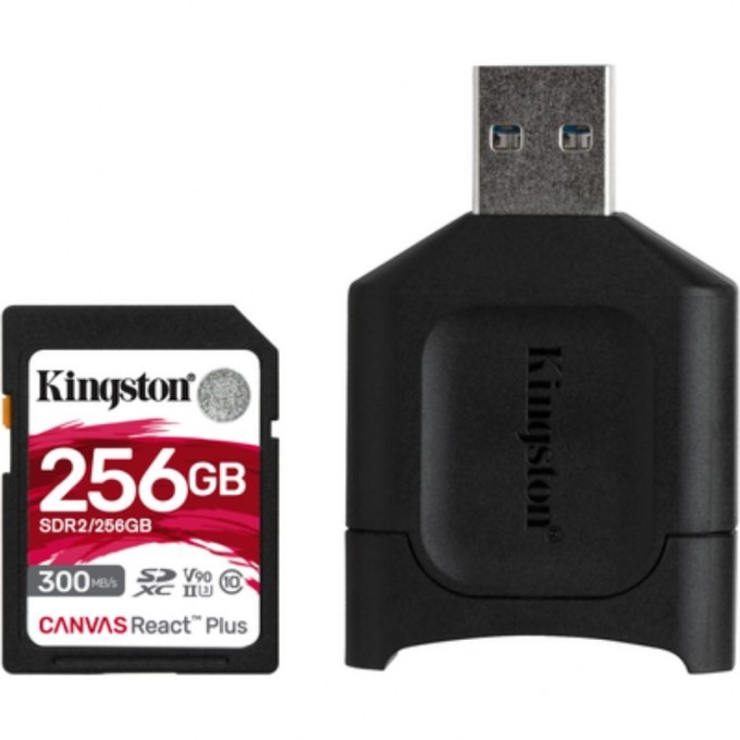 Карта памяти KINGSTON 256GB MLPR2/256GB 630587