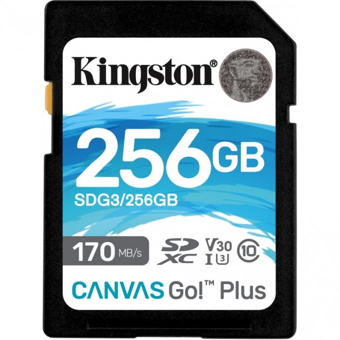 Карта памяти KINGSTON 256GB SDG-256GB 573458