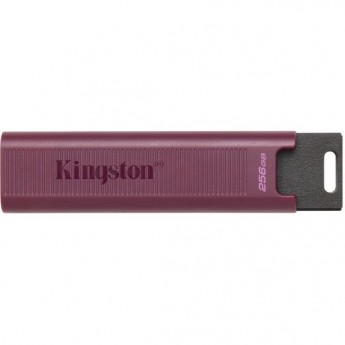 USB Flash накопитель 256Gb KINGSTON DATATRAVELER MAXA (DTMAXA/256GB)