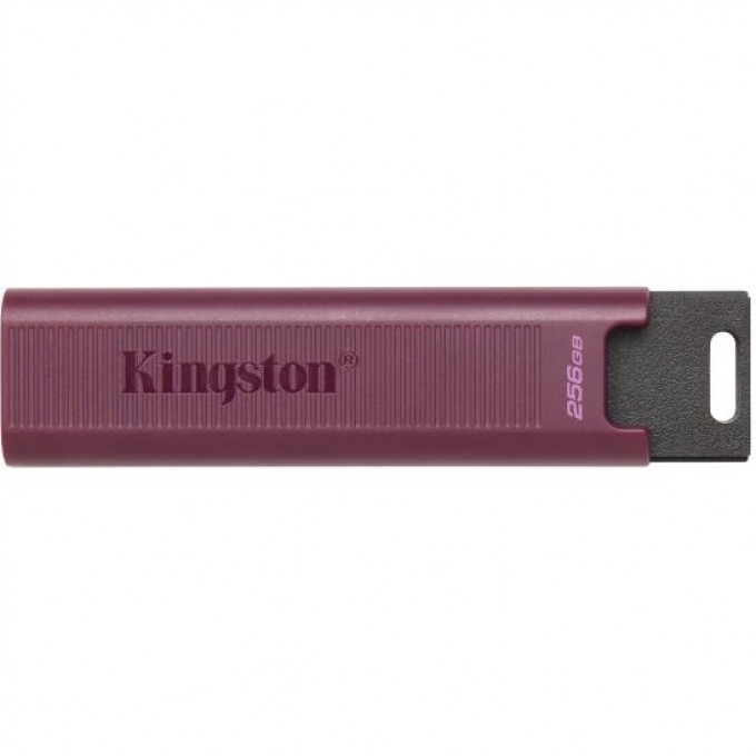 USB Flash накопитель 256Gb KINGSTON DATATRAVELER MAXA () DTMAXA/256GB